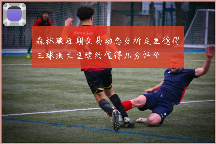 森林狼近期交易动态分析走里德得三球换兰豆续约值得几分评价