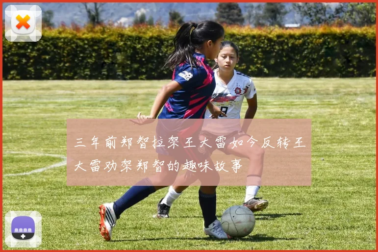 三年前郑智拉架王大雷如今反转王大雷劝架郑智的趣味故事