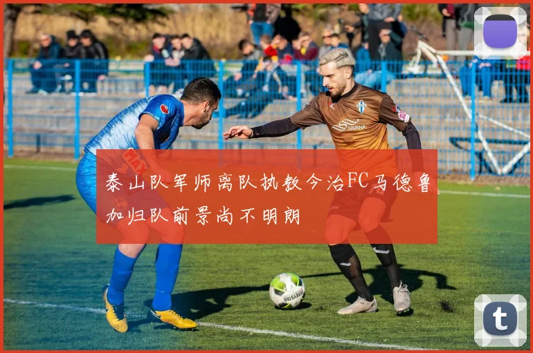 泰山队军师离队执教今治FC马德鲁加归队前景尚不明朗