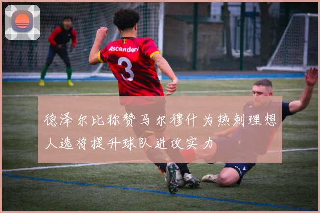 德泽尔比称赞马尔穆什为热刺理想人选将提升球队进攻实力