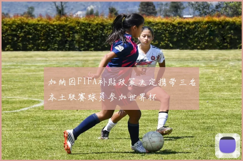 加纳因FIFA补贴政策决定携带三名本土联赛球员参加世界杯